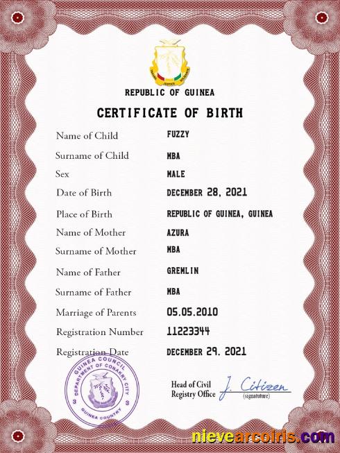 Guinea vital record birth certificate